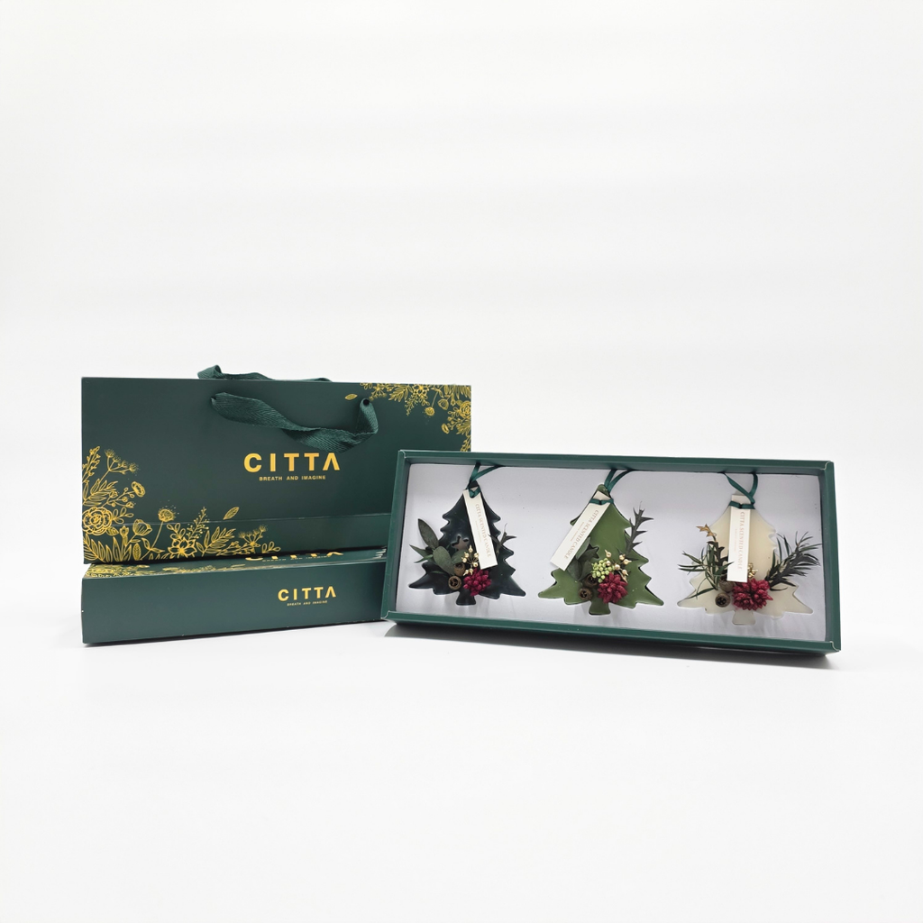 Coffret CITTA ouvert montrant trois sapins parfumés en cire aux senteurs gardénia, oud et thé.