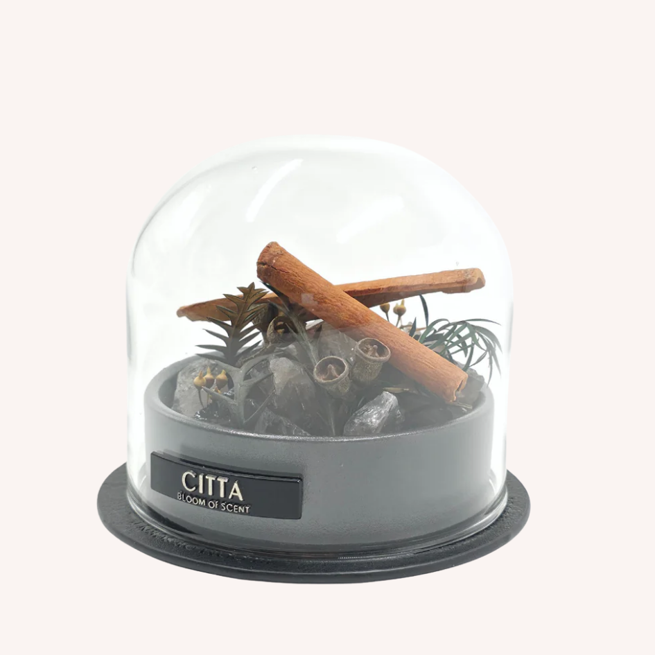 Diffuseur Minéral CITTA – Sous Cloche