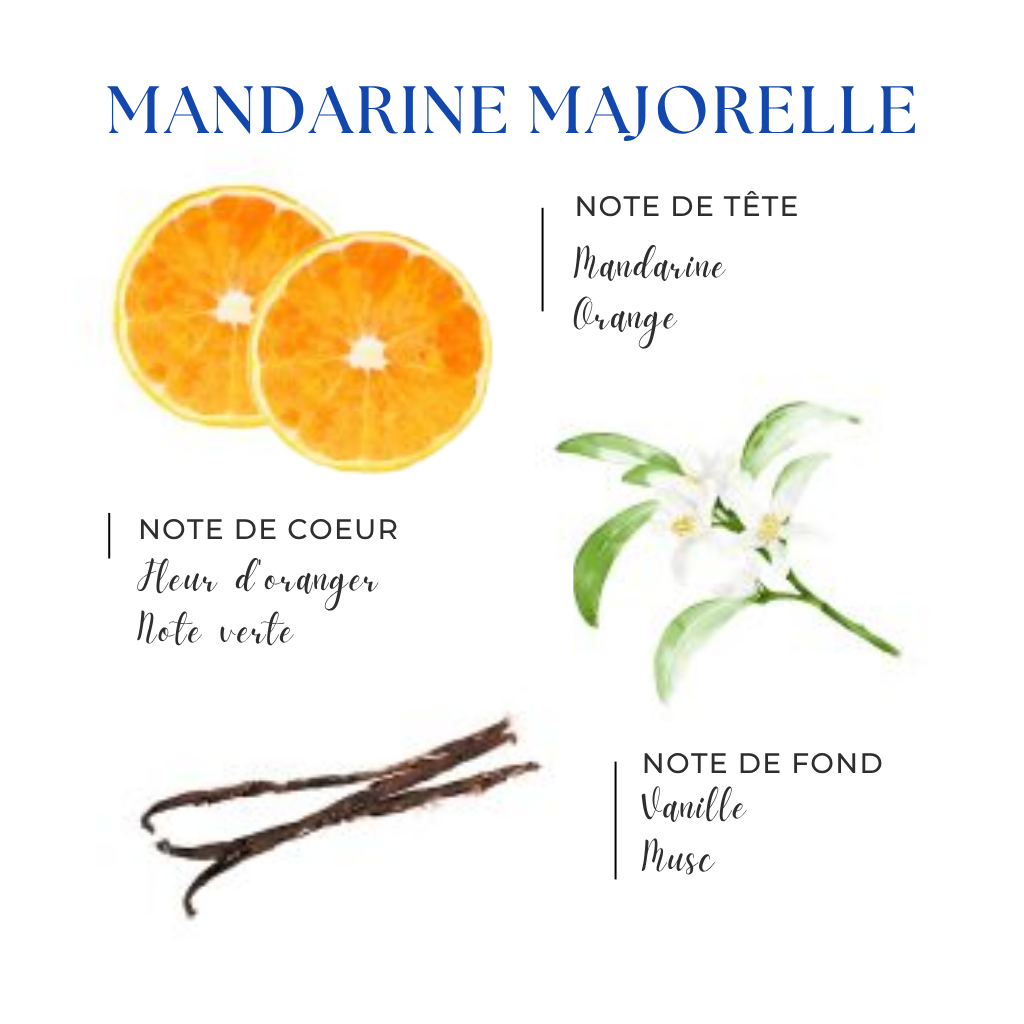Pyramide olfactive Mandarine Majorelle – Illustration avec des ingrédients naturels : mandarine, orange, fleur d’oranger, note verte, vanille et musc. Image pédagogique pour mettre en avant la composition parfumée de la bougie Izza Bleu sur la fiche produit Majorelle concept store marocain