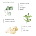 Spray d’ambiance Côté Bougie Menthe & Thé 100ml , note de parfums 