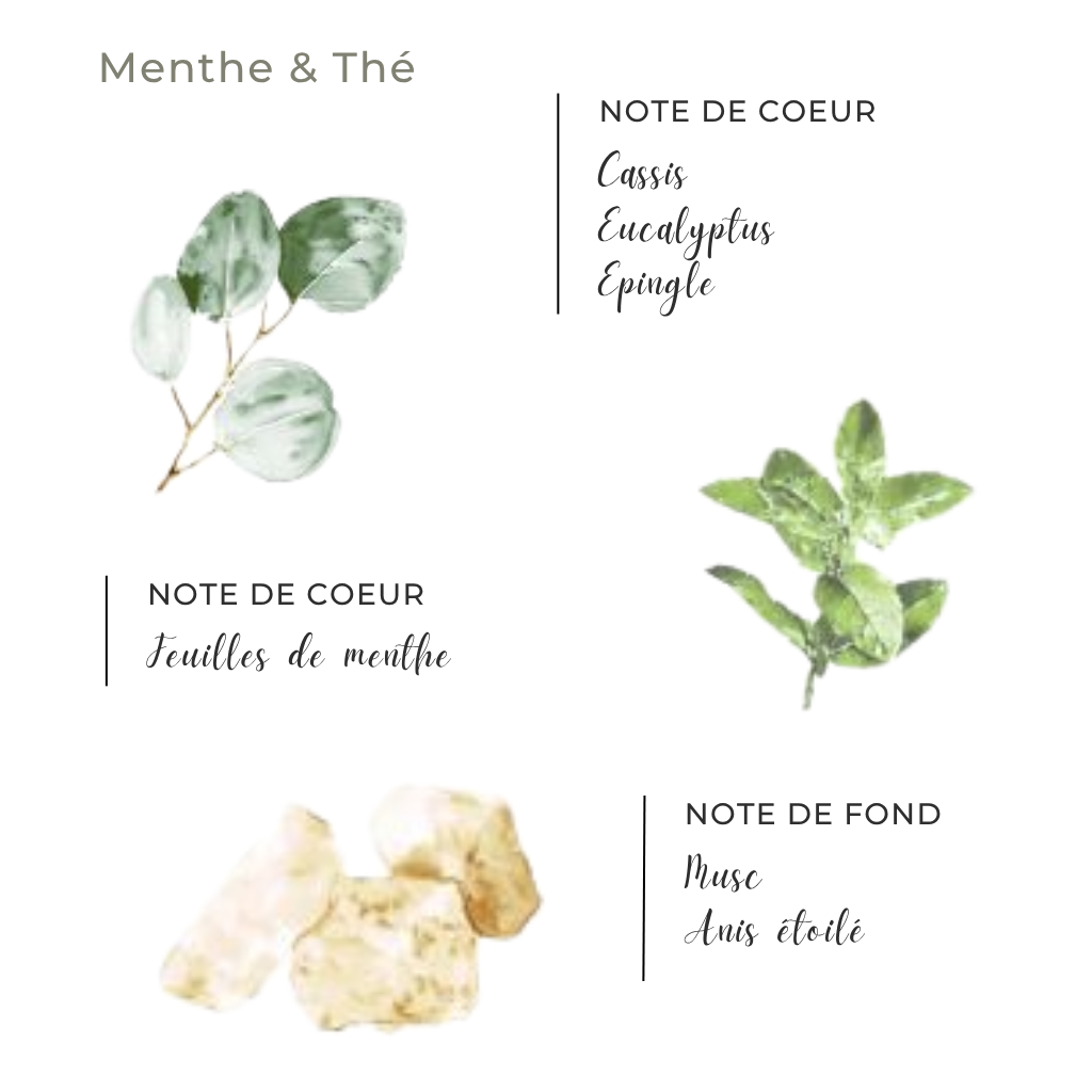 Spray d’ambiance Côté Bougie Menthe & Thé 100ml , note de parfums 